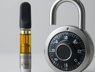 Unlock the Vault: The Definitive Guide to the Deadhead Chemist DMT 3 Cartridges Deal 1mL